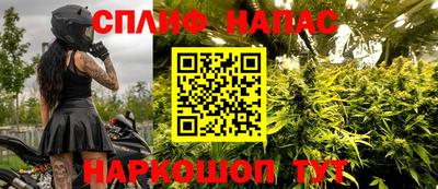 mdpv Ярославль