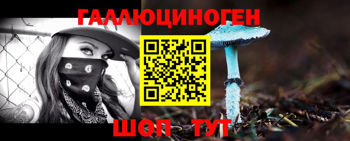 Галлюциногенные грибы прущие грибы Астрахань